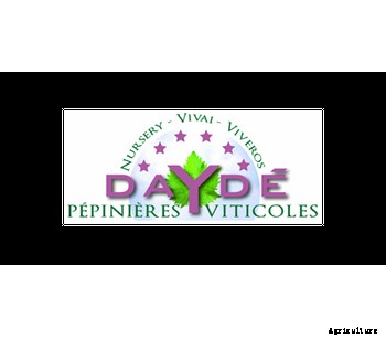 Wine Production Technology