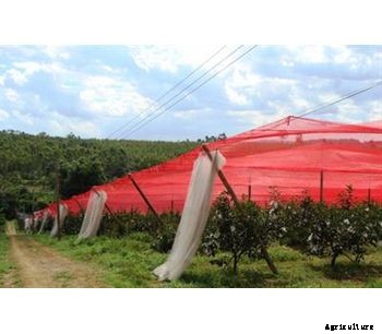 Ginegar ChromatiNet - Greenhouse Shading Nets