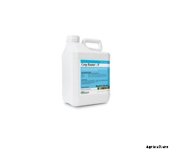 Model Crop Rooter-P - Essential Macronutrients