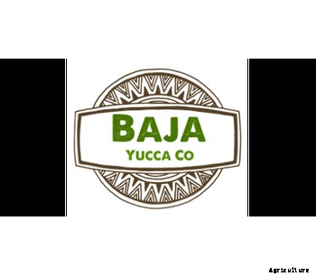 Quillaja Liquid & Powder