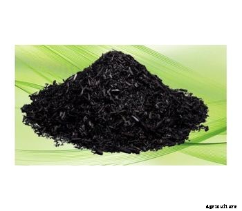 Biochar - Model FX - Organic Soil Amendment