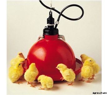 Dalton - Model 922140450 - Plasson Broiler Drinker