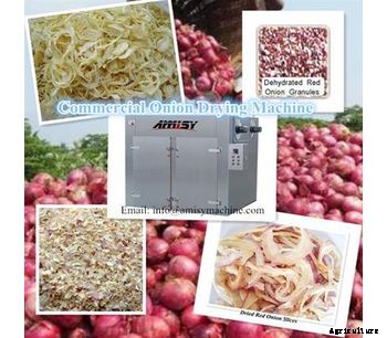 Amisy - Commercial Onion Drying Machine-Hot Air Circulation