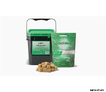 Generation - Mini Blocks