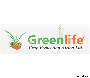 Model 125EC - Sacrifido