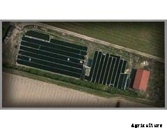 Azienda - Fishing Plants