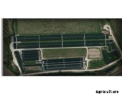 Azienda - Fishing Plants