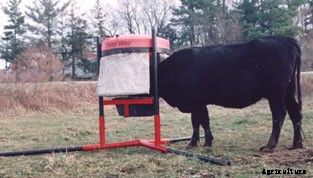 Easy Way - Mineral Feeder