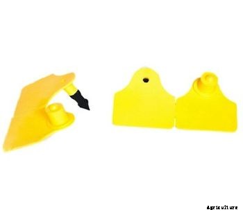 HASTAG - Model M - Male Ear Tag