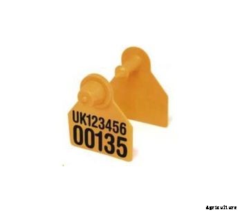 Suretag - Visual Pig ID Tag