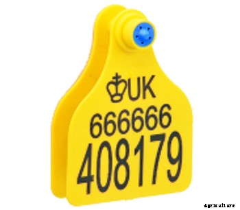 Model Boss2 - Primary Ear Tag