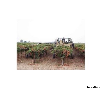 AGH Spectrum - Extra-Wide Grape Harvester