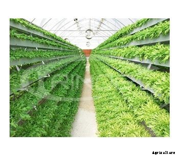 Trinog - A Shaped Cultivation System