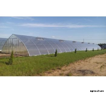 Cellular Polycarbonate Greenhouse