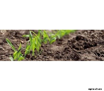 EnzUp™ - Enzyme Nutrient