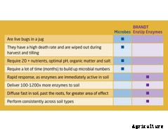 EnzUp™ - Enzyme Nutrient