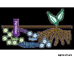 EnzUp™ - Enzyme Nutrient