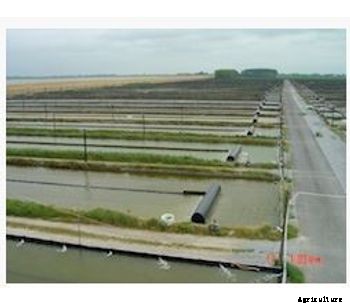 Service Aqua - Frozen Maturation Feeds