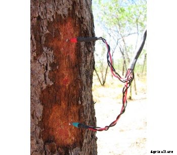 PlantSensors - Model PS-GP - Standard Granier (TDP) Sap Flow Sensor