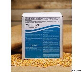 Avitrol - Whole Corn Regular Strength Whole Corn