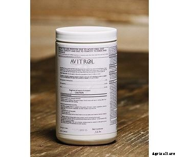 Avitrol - Whole Corn Jar