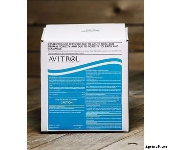 Avitrol - Fine Corn Chops