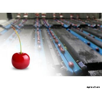 GP Graders - Cherry Grading Machines