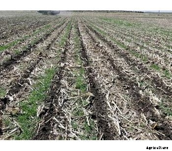 ZoneNinja - Dual-Purpose Tool