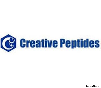 Creative Peptides - Model 138531-07-4 - Sinapultide