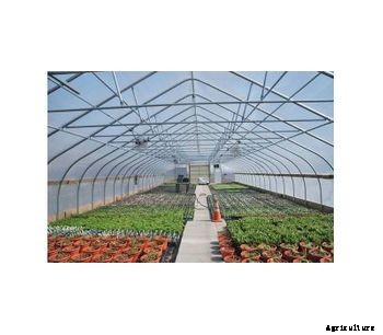 NorEaster - Free-Standing Greenhouse