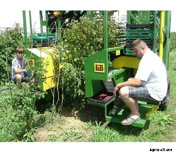 Elektronik - Raspberries and Blackberries Combine Harvesting Machine