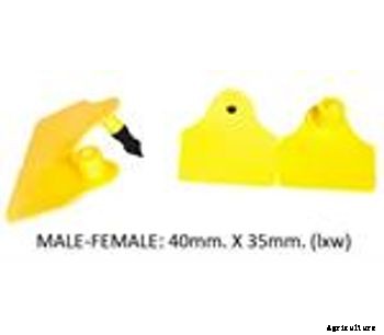 HASTAG - Model M - HASTAG SHEEP M