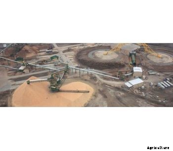 Rentech - Wood Chips