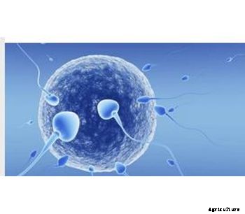 Lianol Ferti - Active Metabolite