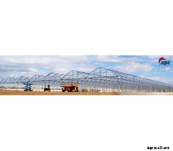 Novedades - Gothic Greenhouses