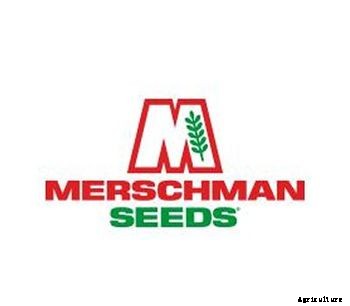 Merschman - Corn Hybrid Seed