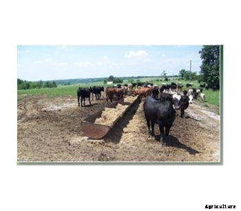 Heavy Duty Feed Bunks