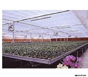 Kunyu - Internal Layer Light Shading Mesh