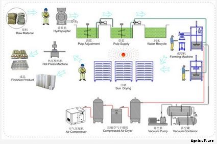 Hongrun - Manual Egg Carton Production Line Machine