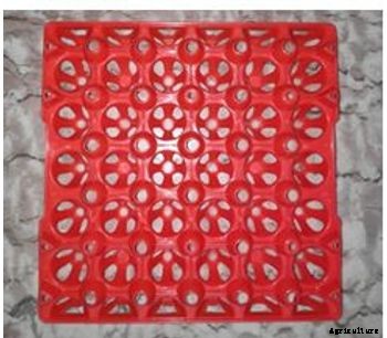 Sagar Poultries - Plastic Egg Tray