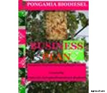 Pongamia Biodiesel Business Plan 100 ha