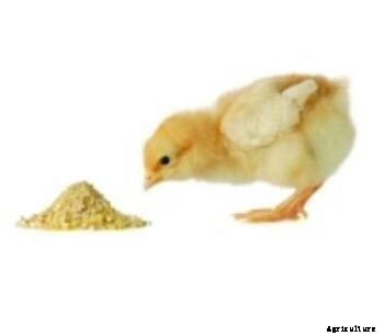 LGC - Model AFPS - Animal Feed