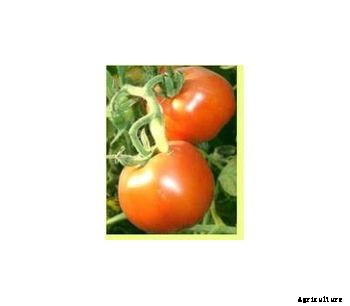 NatureVel - Model AG - Agriculture