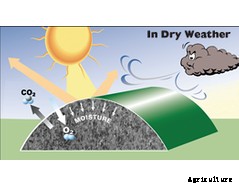 ComposTex - Compost Covers