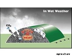 ComposTex - Compost Covers