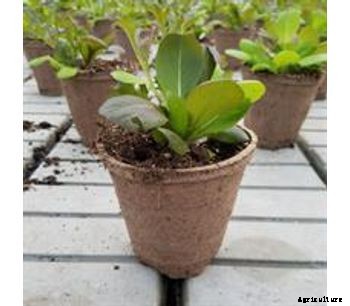 Jiffy - Model R2 - Pot