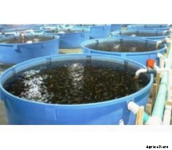 AgriGate - Aquaculture Modular Structures