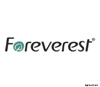 Foreverest - Model 78% - Myrcene