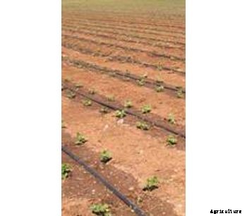 Irritec - Model D5 - M5 - Classic Dripline with Flat Dripper