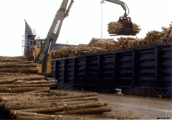 PCE - Model WMH3 - Wood Humidity Tester